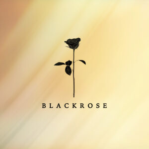 Video Feedback - Black Rose Label
