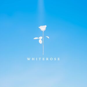 Video Feedback - White Rose Label